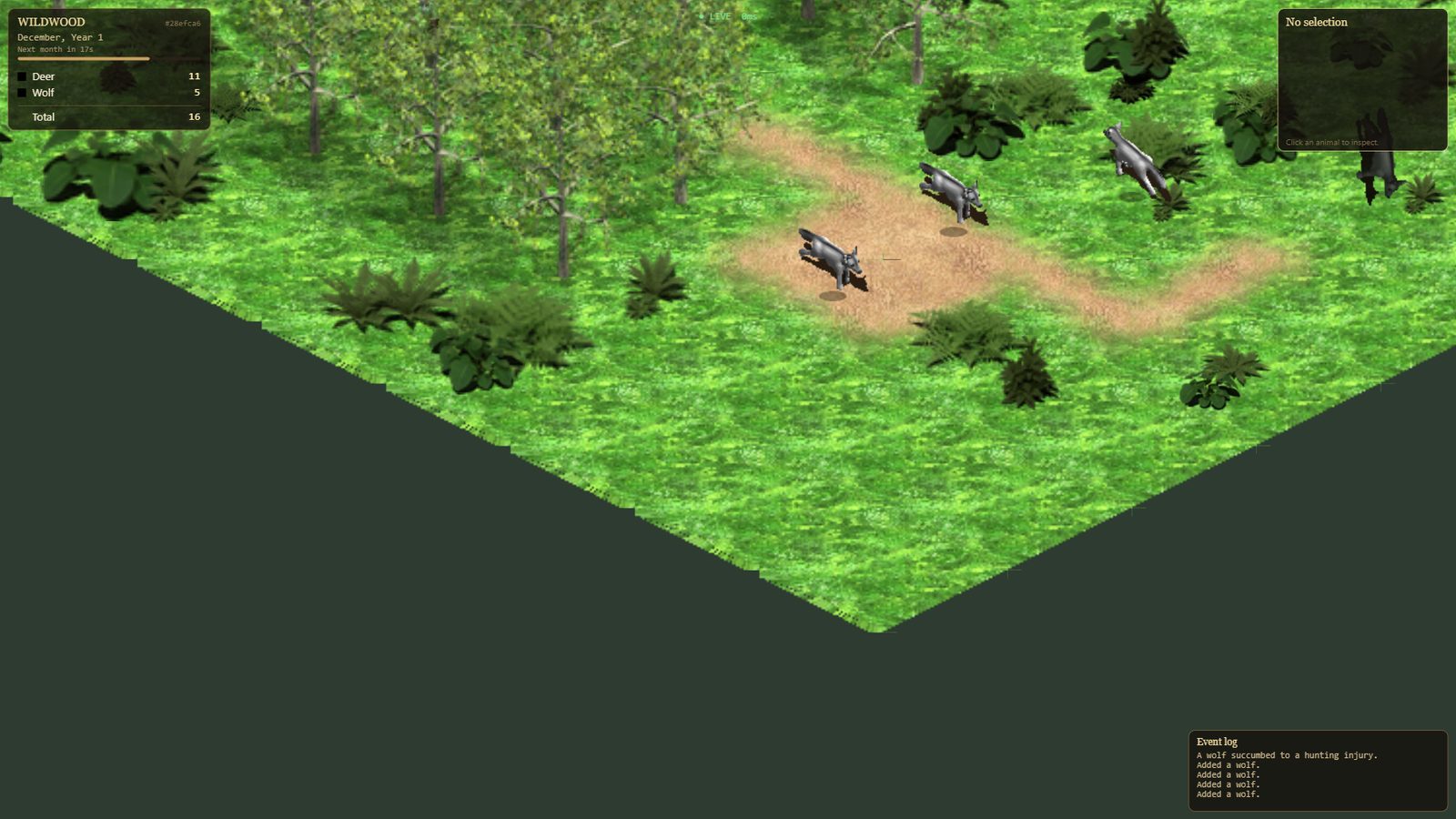 Three wolves close up, walking along a dirt path through the grass.